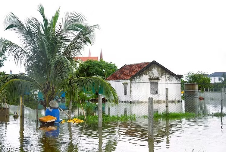 Các tỉnh, thành phố khu vực Nam Trung Bộ và Nam Bộ chủ động ứng phó với mưa lớn